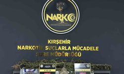 Kırşehir'de uyuşturucu operasyonu: 1 tutuklama
