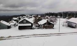 Mevsimin ilk karı Sakarya'nın zirvelerine düştü: Yaylalar beyaza büründü