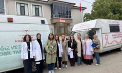 Sağlıklı Hayat Merkezi ekiplerinden kapsamlı saha çalışması