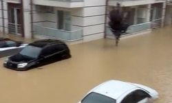Dereler taştı, evleri su bastı