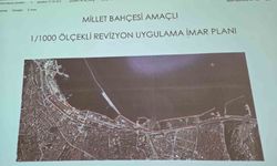 Samsunspor tesisleri, Millet Bahçesi Projesi planından çıkarıldı