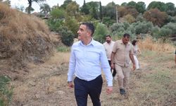Şenköy Mahallesi düğün salonuna kavuşuyor