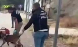 Sinop uyuşturucu operasyonu: 3 tutuklama