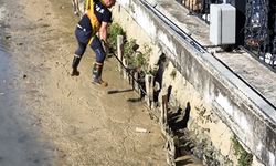 Yalova'da itfaiye ekipleri derede mahsur kalan iki kediyi kurtardı