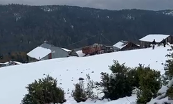 Hendek’te kar sürprizi: Dikmen yaylası beyaza büründü