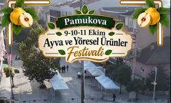 Sakarya’da festival heyecanı: 7. Pamukova Ayva Festivali kapılarını açıyor