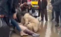 Kocaali’de feci kaza: Yaşlı kadın hayatını kaybetti!