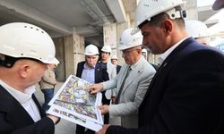 Ada Hayat Projesi'nde sona yaklaşılıyor
