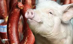 Dana sucuk diye satılan üründen domuz eti çıktı!
