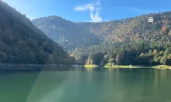 Sülüklü Göl Tabiat Parkı sonbahar renklerine büründü
