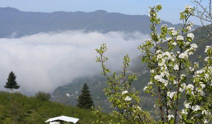 Sakarya'nın yüksek kesimlerinde bahar güzelliği