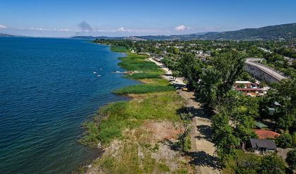 Sapanca Gölü kıyısını şimdi tertemiz sazlıklar süsledi