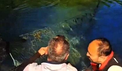 Sakarya'da nehir ve göletlerdeki kaçak ağlar tek tek toplanıyor