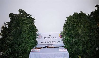 3 ilçede uyuşturucu operasyonu