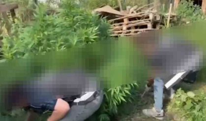 Sapanca'da uyuşturucu operasyonu: 2 gözaltı