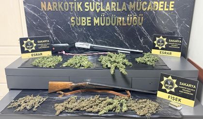 Adapazarı ve Karasu’da Narkotik Darbesi: 1 Tutuklama