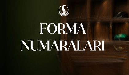 Sakaryaspor'da yeni sezon numaraları netleşti!