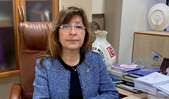 CHP'li Çetin: "Gazeteciler hala baskı altında"