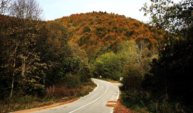 Çam Dağı’nda sonbaharın doğaya yansıyan tonları büyüledi