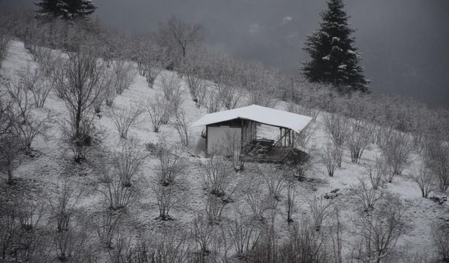 Dün güneşli havanın tadını çıkarıyorlardı, bugün kara uyandılar