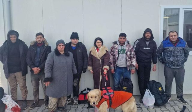 Edirne'de 8 düzensiz göçmen yakalandı