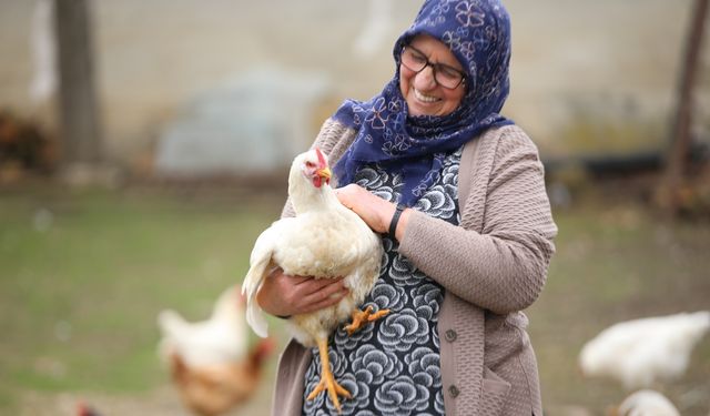 Istranca Dağları eteklerindeki köylerde kadınlar tarım hayvancılıkla uğraşarak üretime katkı sunuyor