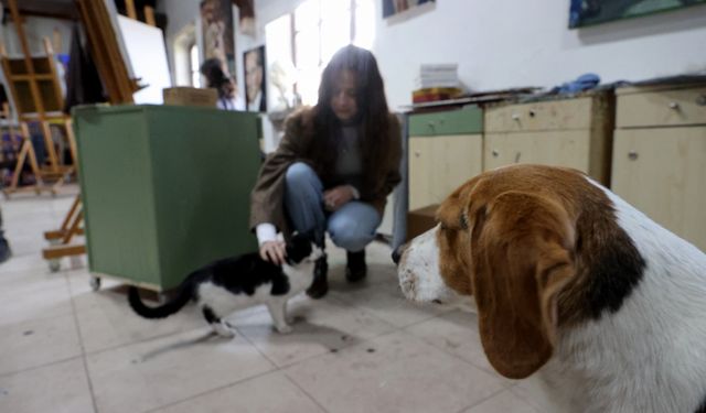 Resim çalışmalarını fakültenin maskotu kedi ve köpekler eşliğinde yapıyorlar