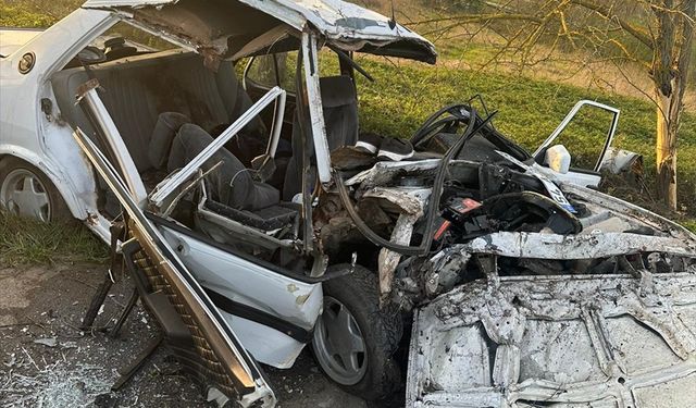 Sakarya'da ağaca çarpan otomobildeki anne ile oğlu öldü