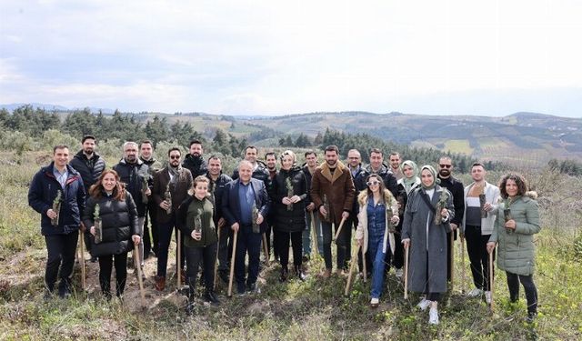 40 bini Bursa'da 100 bin fidanlı orman yeşertiliyor