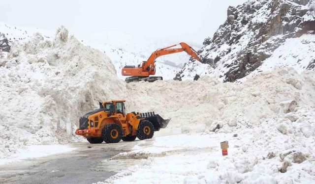 10 ayrı bölgeye çığ düştü: Ekipler yol açma çalışmalarını sürdürüyor