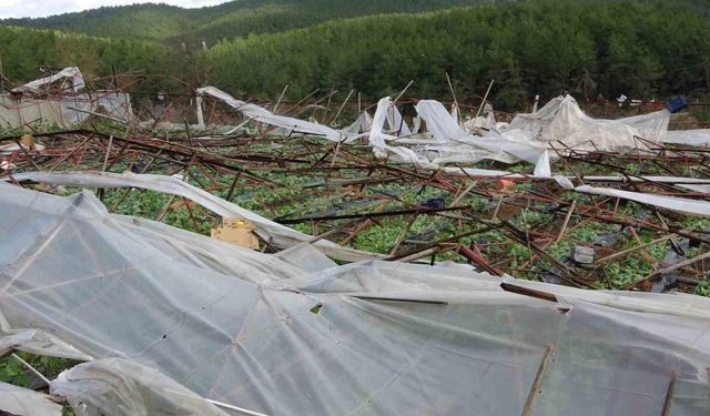 Alanya’da hortum 250 dönümden fazla seraya zarar verdi