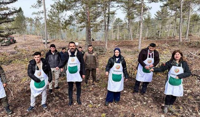 Altıntaş ve Dumlupınar Kaymakamları karaçam tohumu ekimi yaptı