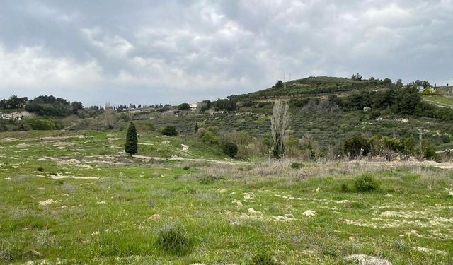 Aydın’da işlenmeyen tarım arazileri üretime kazandırılacak