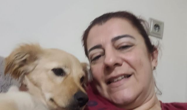 Aydın’daki köpek eğitmeni mağdurlarının sayısı artmaya başladı