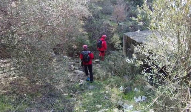 Ayvacık’ta kaybolan alzaymır hastası yaşlı adam ölü bulundu