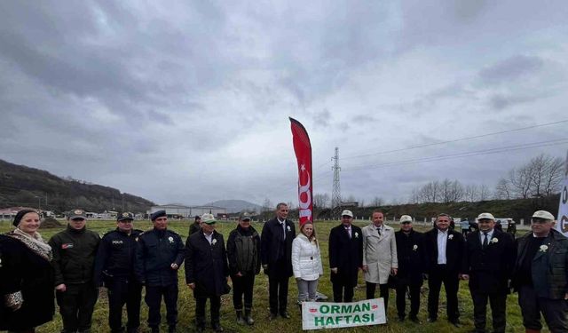 Bafra’da “Küllerinden Doğan Ormanlar” etkinliği