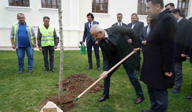 Bakan Uraloğlu Bilecik’te çınar fidanı dikti