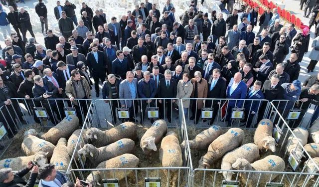 Bakan Yumaklı: "Balıkesir’in potansiyeli, bizim bu zamana kadar tahayyül ettiklerimizin daha ötesinde"