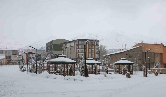 Başkale’de okullar tatil edildi: 65 yerleşim yerinin yolu kapandı