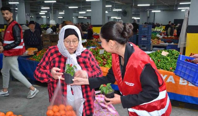 Başkan Böcek’ten, Alanyalı kadınlara aşk çiçeği hediyesi