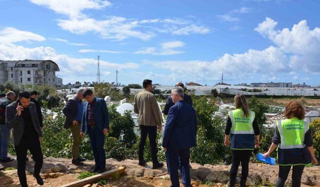 Büyükşehir Belediyesi, hortumdan etkilenen Alanyalı üreticilerin yaralarını sarıyor