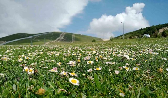 ‘Çamaşırları açık havada kurutmak polen alerjisini tetikliyor’