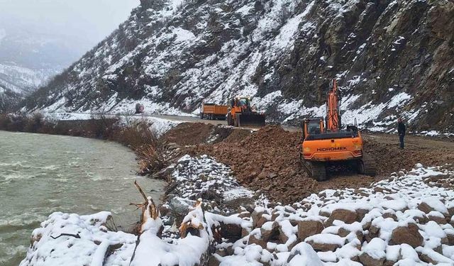 Çığ nedeniyle kapanan Çatak-Pervari kara yolu açıldı