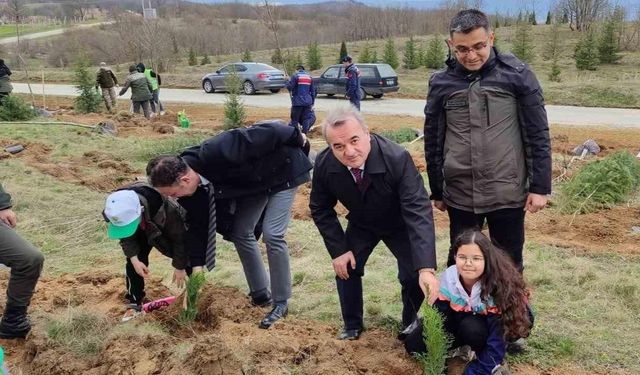 Çok sayıda fidan toprakla buluştu