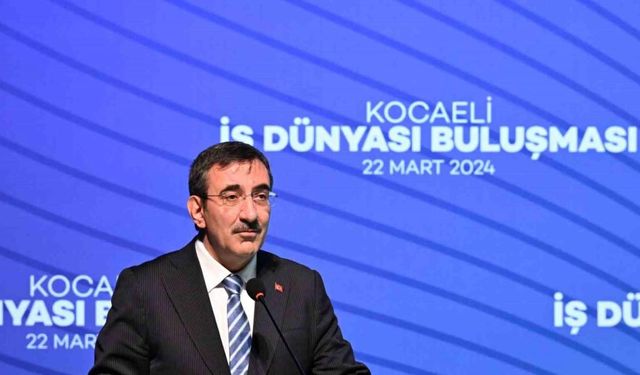 Cumhurbaşkanı Yardımcısı Yılmaz: "Dövize erişimde problemimiz yok, döviz ihtiyacımız da azalmış durumda"