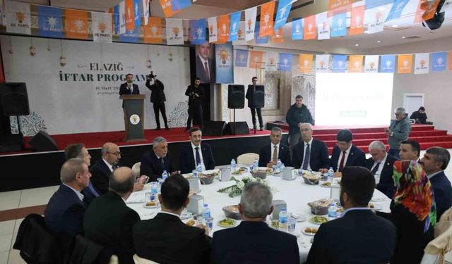 Cumhurbaşkanı Yardımcısı Yılmaz: ’’Mayıstan sonra yıllık bazda düşüşleri göreceğiz’’