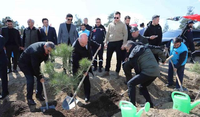 Denizli’de 14 lokasyonda 6 bin 100 adet fidan toprakla buluştu