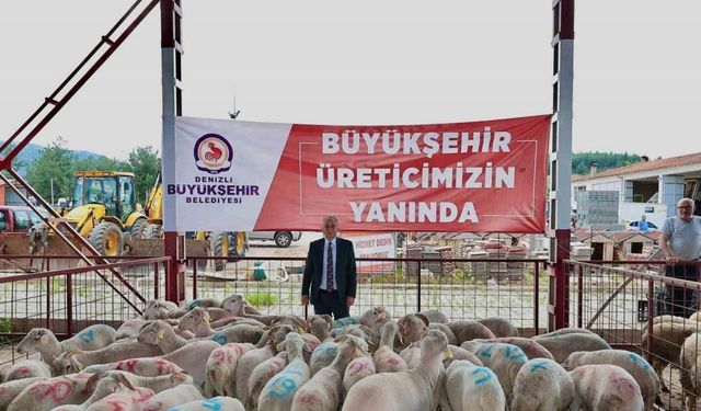 Denizli’de 321 çiftçiye 600 adet damızlık koç ve teke hibe desteği başladı