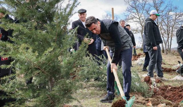 Doğanın akciğeri olan ağaç fidanları toprakla buluştu