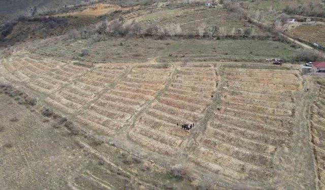 Erzincan’da çiftçilere tarla okulu eğitimi verildi